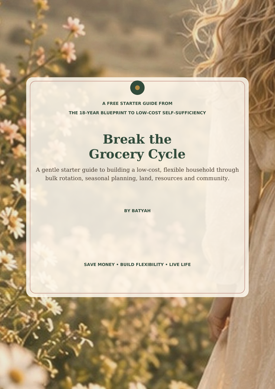 Break the Grocery Cycle free starter guide by Batyah Ha Melek